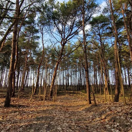 Przystantu Relax&spa Appartamento *