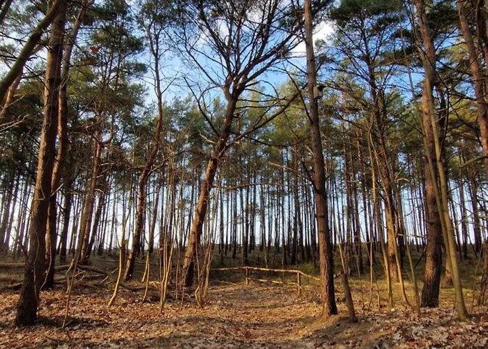 Przystantu Relax&spa Lägenhet *